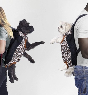 Plecak dla zwierząt