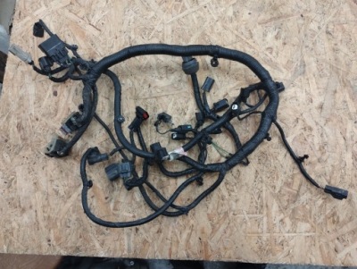 Ford fusion mk5 hybrid 2.0 жгут трубопровод двигателя фото №1