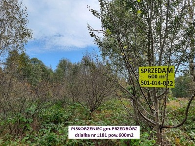 Działka, Piskorzeniec, 600 m²