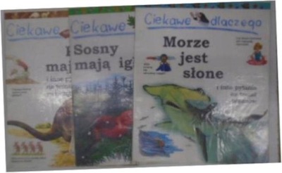 Ciekawe dlaczego morze - Anita Ganeri