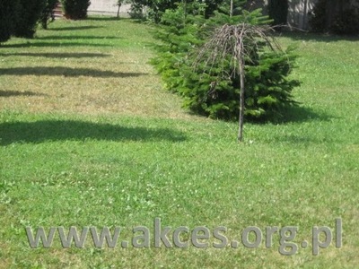 Dom, Warszawa, Targówek, Elsnerów, 50 m²