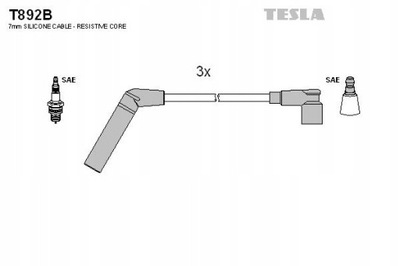 TESLA BLATNÁ T892B JUEGO TUBOS DE ENCENDIDO  