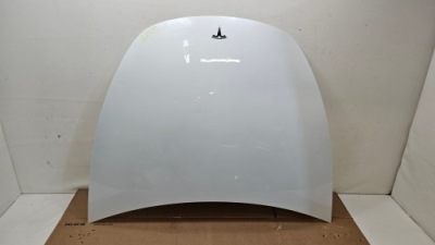 Капот крышка двигателя tesla model y оригинальная grad фото №1