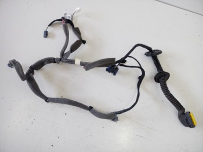 Электропроводка дверь левое  задняя renault scenic 3 фото №1