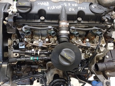 Двигун citroen xsara berlingo partner peugeot 307 2.0 hdi оригінальний номер rhy фото №1