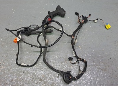 Audi a6 c6 джгут двері правий перед keyless go eu фото №1