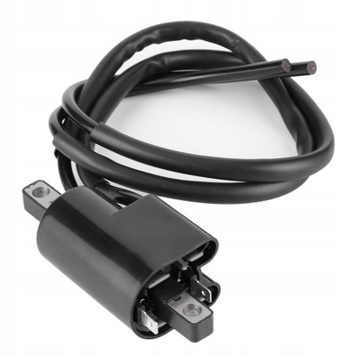 278001130 катушка зажигания do seadoo gs фото №1