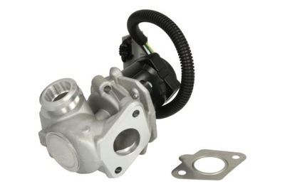 VOŽTUVAS EGR AGR 710936D/1 BORGWARNER (WAHLER) 