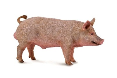 KNUR