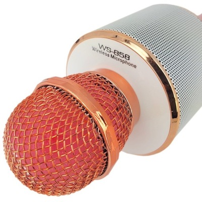 Mikrofon IZOXIS WS-858