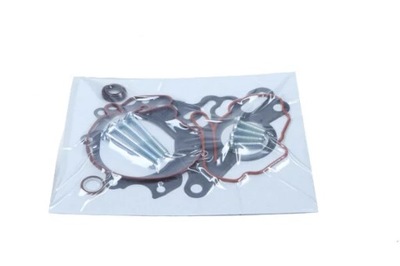 ZESTAW NAPR. POMPY PRÓŻNIOWEJ VW 2,0TDI 03-