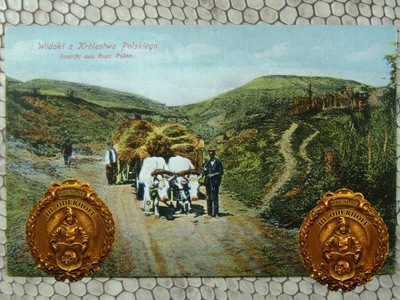 1915 Czenstochau,Woły Feld.Lux,Ex.P640