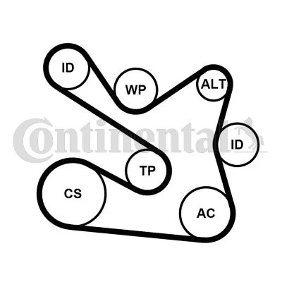 CONTINENTAL CTAM CON 7PK1605K1 JUEGO CORREA W/KLINOWEGO  