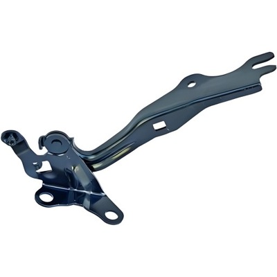 Diederichs 5625018 петля, кришка відсік двигуна фото №1