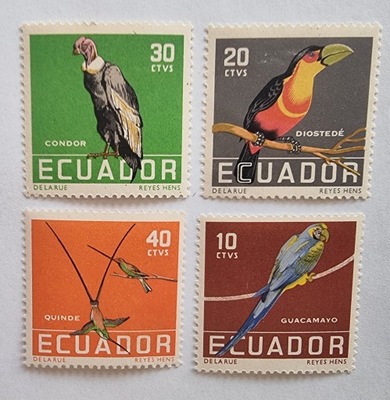 Fauna - Ptak - Ekwador