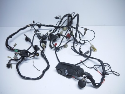 INSTALACIÓN JUEGO DE CABLES ELÉCTRICA KAWASAKI ZX6 ZX6R 00-02 26030-1714 EW48  