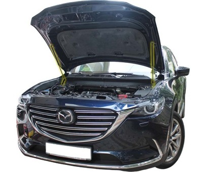 Амортизатори пружини капот кришки mazda cx-9 cx9 ii 2 фото №1