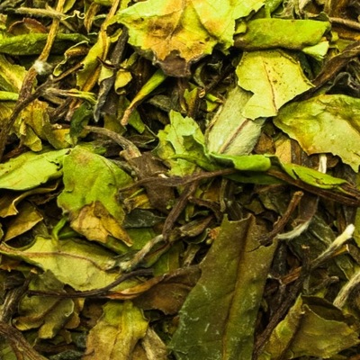 Herbata biała Pai Mu Tan 50 g