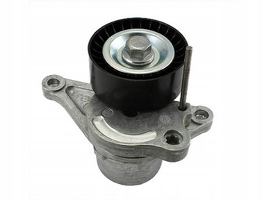 Schaeffler ina 534 0281 10 натягувач ремінь клиновий багаторучейковий фото №1