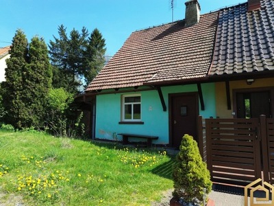 Dom, Olszyna, Olszyna (gm.), 65 m²