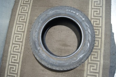 OPONA RUNWAY RWT-1 195/65 R15