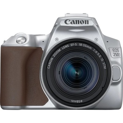 Canon EOS 250D + EF-S 18-55mm f/4-5.6 IS STM Zestaw do lustrzanki 24,1 MP C