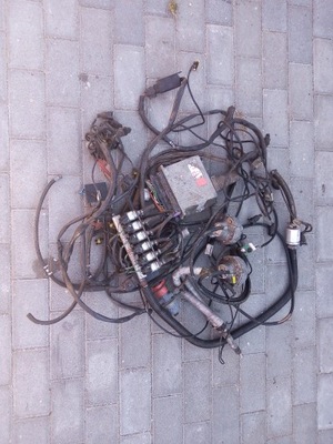 Электропроводка газовая brc - 6 цилиндров фото №1