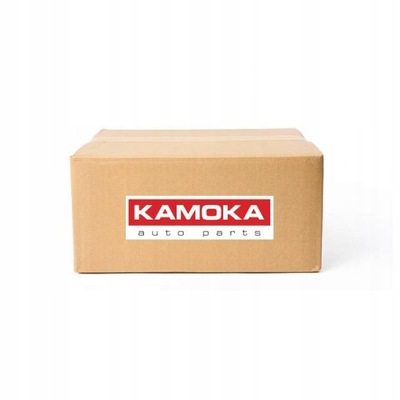 FILTER PARTICLES SOLID DPF KAMOKA 8010021  