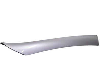 Молдинг захист стійка лівий перед mercedes slk r171 a1716900139 фото №1