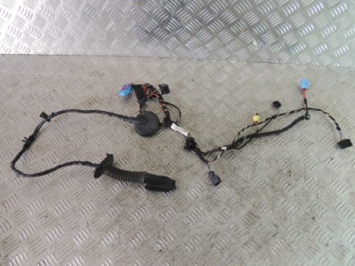 Audi 7 жгут дверь правый перед 4g8971030cq фото №1