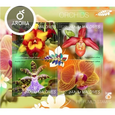 ORCHIDEA storczyk kwiaty flora ark. #mld14803a