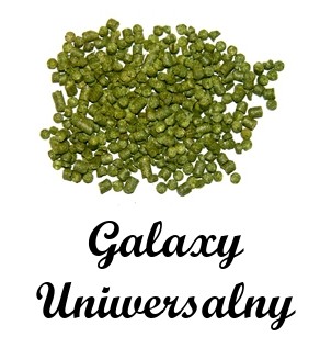 Chmiel Galaxy 100 g zbiór 2022 AUS Świat Słodu