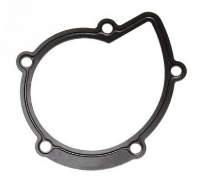 Elring прокладка насоса wody-citroen 4/5/8 фото №1