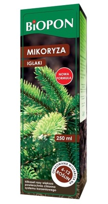 MIKORYZA - IGLAKI - TUJE, ŚWIERKI, SOSNY, JODŁY...