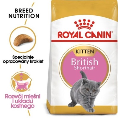 Royal Canin British Shorthair Kitten karma sucha dla koci