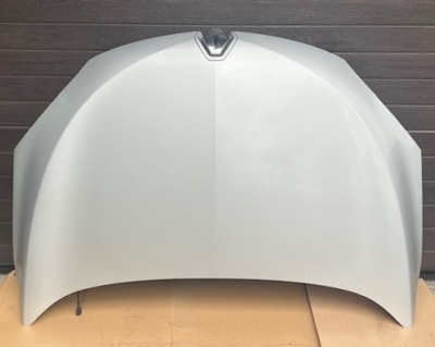 Renault megane 3 iii - капот лак ted69 фото №1