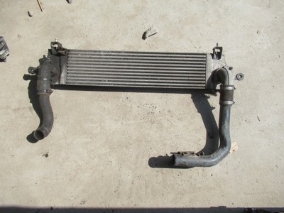 Інтеркулер qashqai i j10 1.5 dci фото №1