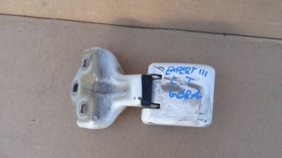 Peugeot expert iii петля дверь левый задний  9820032180 фото №1