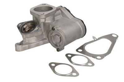 VOŽTUVAS EGR AGR 710938D/1 BORGWARNER (WAHLER) 