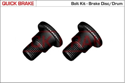 BOLT FIXING BRAKES DISC FRONT REAR M10X1X22 OPAKOWANIE 2 SZT.  