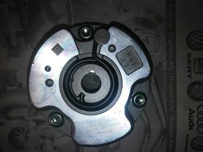 CONTROLADOR ROLLO DISTRIBUCIÓN AUDI A4 A5 A6 06E109084N  