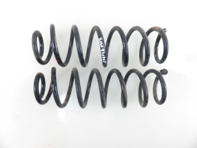 Пружина задняя renault scenic iii 2.0 16v m4r 713 фото №1