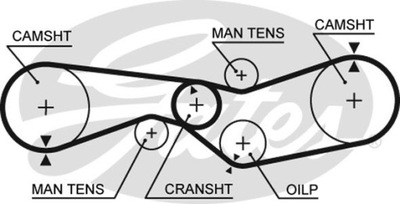 Ремінь розподільного валу gates 5012 фото №1