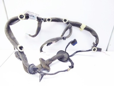 Renault scenic iii джгут двері задня ліва фото №1