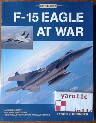 F-15 Eagle at War - POLECAM!!