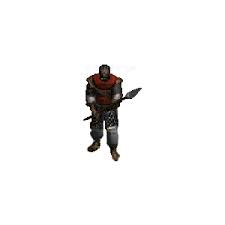 RESURRECTED Mercenary Set Zestaw Dla Najemnika #2 Non Ladder Diablo 2 D2 PS