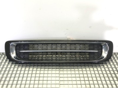 Решётка бампера перед mini r56 7250787 хэтчбек 05-14 защита фото №1