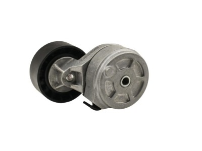 Натяжитель ремень micro-v iveco daily 2000- комплект фото №1