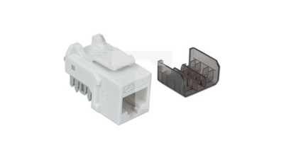 Moduł Keystone RJ45 Cat6a 10 Gigabit, UTP, biały