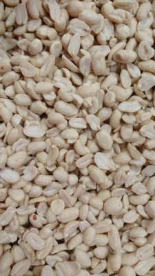 ORZECHY ZIEMNE SUROWE DLA PTAKÓW POŁÓWKI - LUZ 1 KG